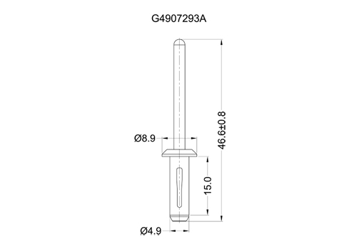 G4907293A 2D 503X350.jpg